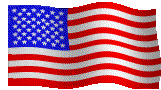 usflaglg