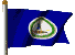 virginCf_c7a