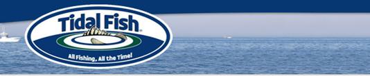 http://www.tidalfish.com/skins/tidalfish/images/top_left.jpg